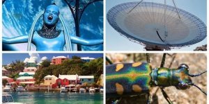 20 удивительных фактов, о которых вы точно не знали (21 фото)