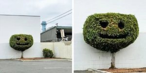 Дивні знахідки від природи (35 фото)