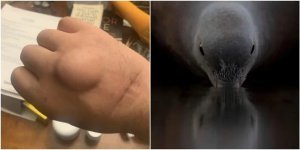 25 creepy pictures that evoke conflicting feelings (26 photos)