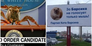 Этих хвостатых выбирали на руководящие должности на полном серьёзе (часть вторая) (7 фото)