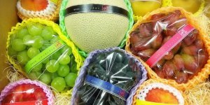 Чому японські фрукти такі дорогі? (25 фото)