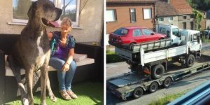 16 случаев, когда у людей были фотографии, чтобы доказать их невероятные истории (17 фото)