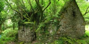 Природа берет свое: красивые заброшенные места (15 фото)