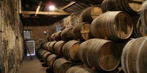 6 характеристик, на які варто звернути увагу при виборі коньяку (2 фото)