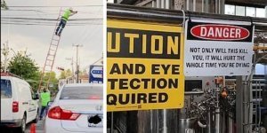 Dementia and courage are about them! (22 photos)