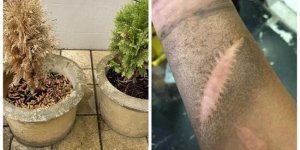 19 facts and observations that may interest you (20 photos)