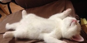 Good night everyone (22 photos)
