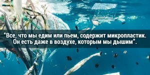 27 мрачных фактов, которые сразу же хочется забыть (28 фото)