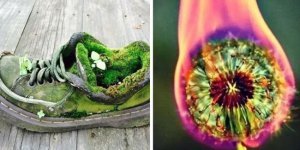 35 фото разных занятных вещиц, которые не каждый день увидишь (36 фото)