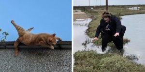 14 удачно сделанных фотографий, герои которых находятся в шаге от поджидающей их неприятности (16 фото)