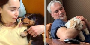 Кто приносит тапочки знаменитостям: звезды и их собаки (19 фото)