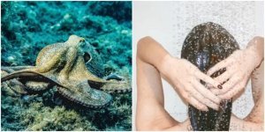 25 любопытных коротких фактов из разных сфер нашей жизни (26 фото)