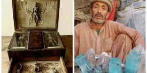 15 пізнавальних фотографій цікавих знахідок (16 фото + 1 відео)