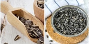Как приготовить очень вкусные жареные семечки (6 фото)