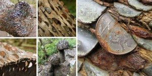 15 монетних дерев, або Кошмарні сни нумізматів (16 фото)