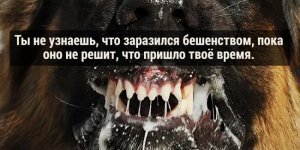 Научные факты, которые действительно пугают (16 фото)