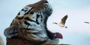 Цей світ. Я бачу так. Очима фотографа (26 фото)