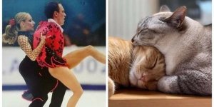 50 фотографий, которые сбивают с толку (51 фото)