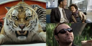 11 interesting films for the evening (12 photos + 11 videos)