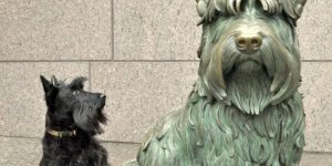 8 дивовижних тварин, які мають власну статую (9 фото)