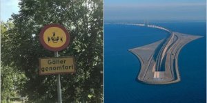 16 фото, після яких можна закохатися у Швецію (17 фото)