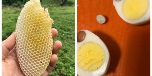 29 impressive unexpected finds (30 photos)