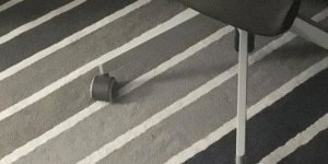 Кажется, показалось (13 фото)