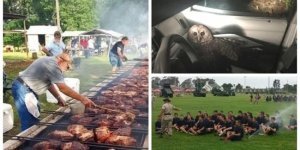 Когда Вселенная тебя троллит, и тебе не смешно (30 фото)