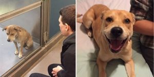 19 фото "до и после", которые точно вас порадуют (20 фото)