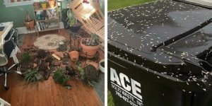Home disasters - God forbid! (31 photos)