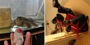 15 people whose day turned out to be worse than ever (16 photos)