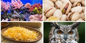 25 interesting facts that are very well remembered (26 photos)