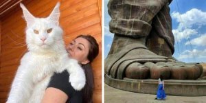 16 objects that seem too huge for this world (17 photos)
