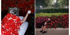 15 фотографий, которые совсем непонятны на первый взгляд (16 фото)