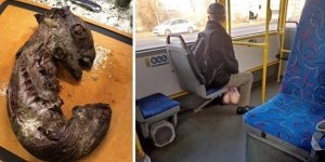 Необычные кадры из серии "Показалось", которые могут взорвать ваш мозг (22 фото)