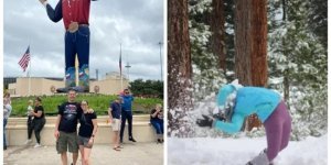 Головне – вчасно натиснути кнопку! (24 фото)