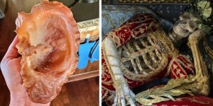 34 фото жутко занятных вещиц, которыми поделились пользователи сети (35 фото)