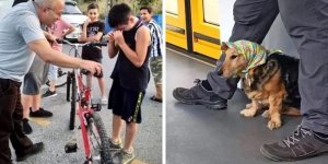 Доброта делает мир лучше (17 фото)