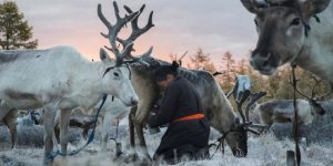 Deadly delicacies of the northern peoples (5 photos)