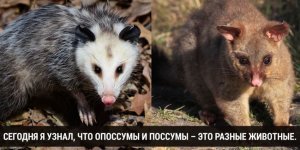 Сегодня я узнал: 29 фактов, которые доказывают, что учиться никогда не поздно (30 фото)