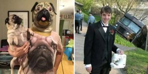 35 знімків, які зняли чисте божевілля (36 фото)