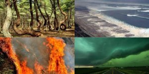 Природні знаки: знаки, що сигналізують про наближення чогось поганого (13 фото)