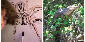 25 тревожных и интригующих фактов о жизни на Земле (26 фото)