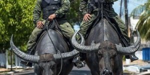 30+ фотографий, доказывающих, что бразильцы - отличные ребята! (34 фото)