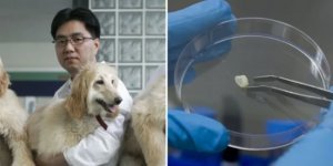 8 наукових відкриттів, які змінили світ, а ми й не знали (10 фото)