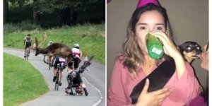 15 неожиданных снимков, которые были сделаны в тот самый момент (16 фото)