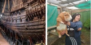 Всё в мире познается в сравнении: 40 удивительных фотографий (40 фото)