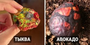 Что происходит с вещами, о которых забыли на некоторое время (18 фото)
