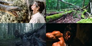 Memo for indoor Rambo: mistakes of survival in the wild (11 photos)