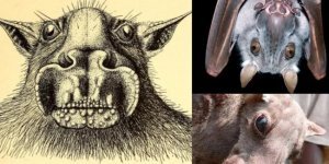 На обличчя жахливі, добрі всередині: молотоголові крилани (15 фото)